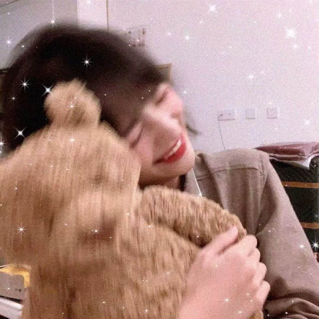 象宫龙虎斗